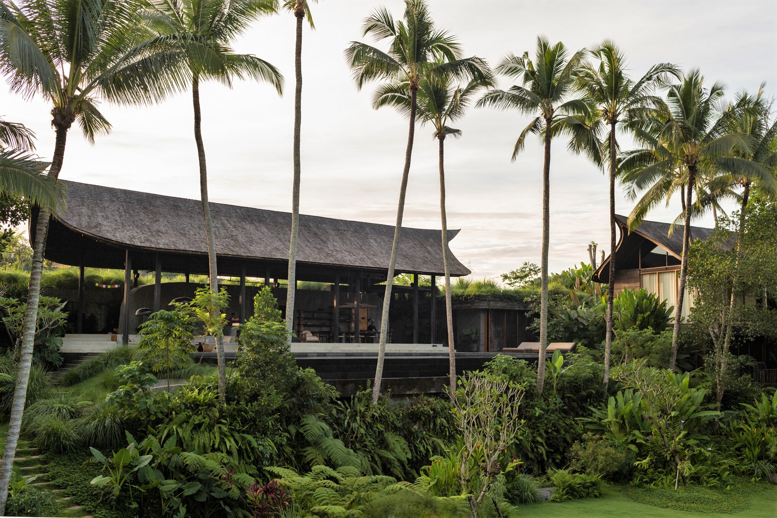 image for Contemporary bamboo architecture
