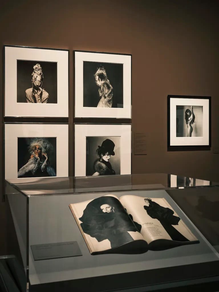 image for Irving Penn: Centennial