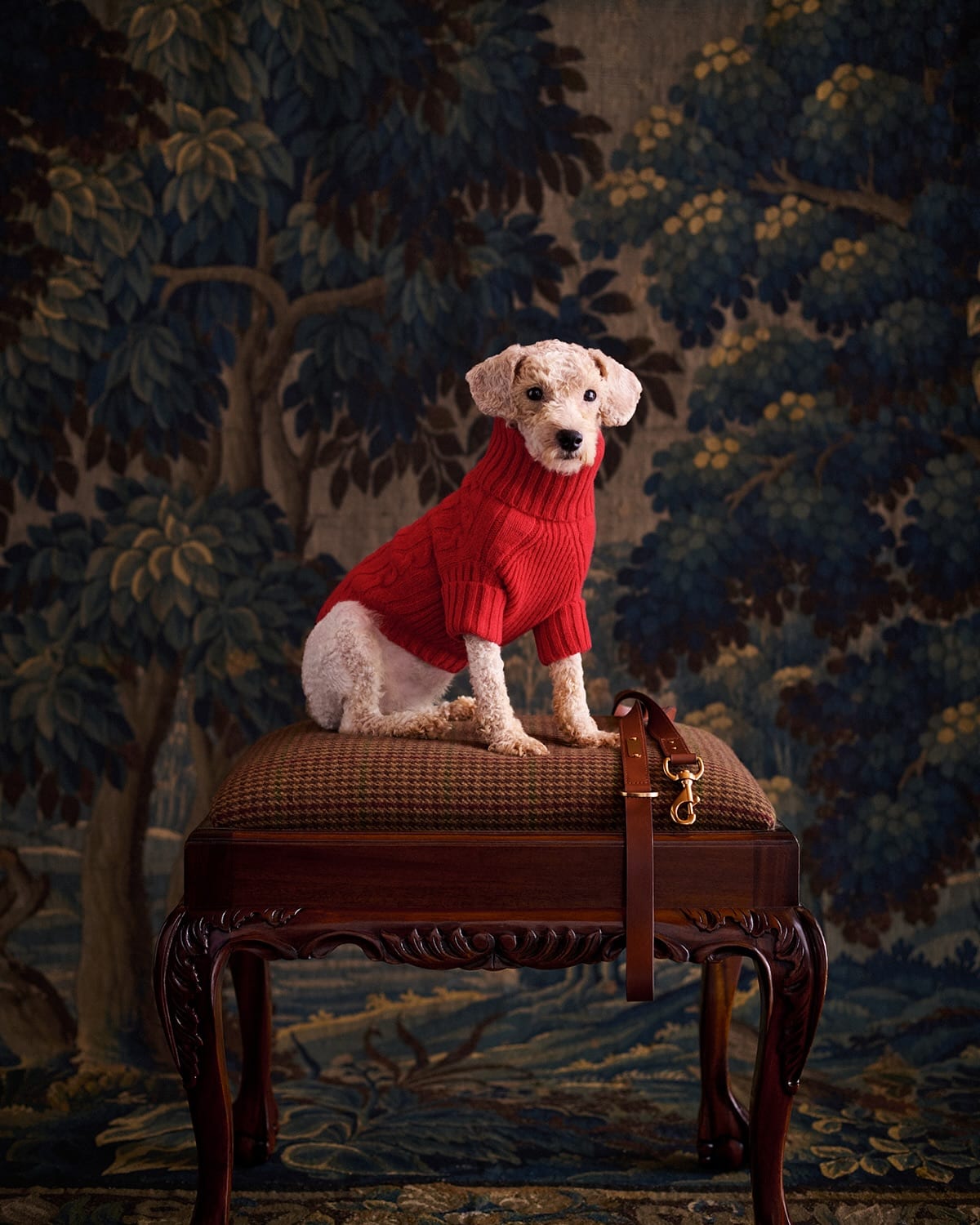 image for The Pup Shop
