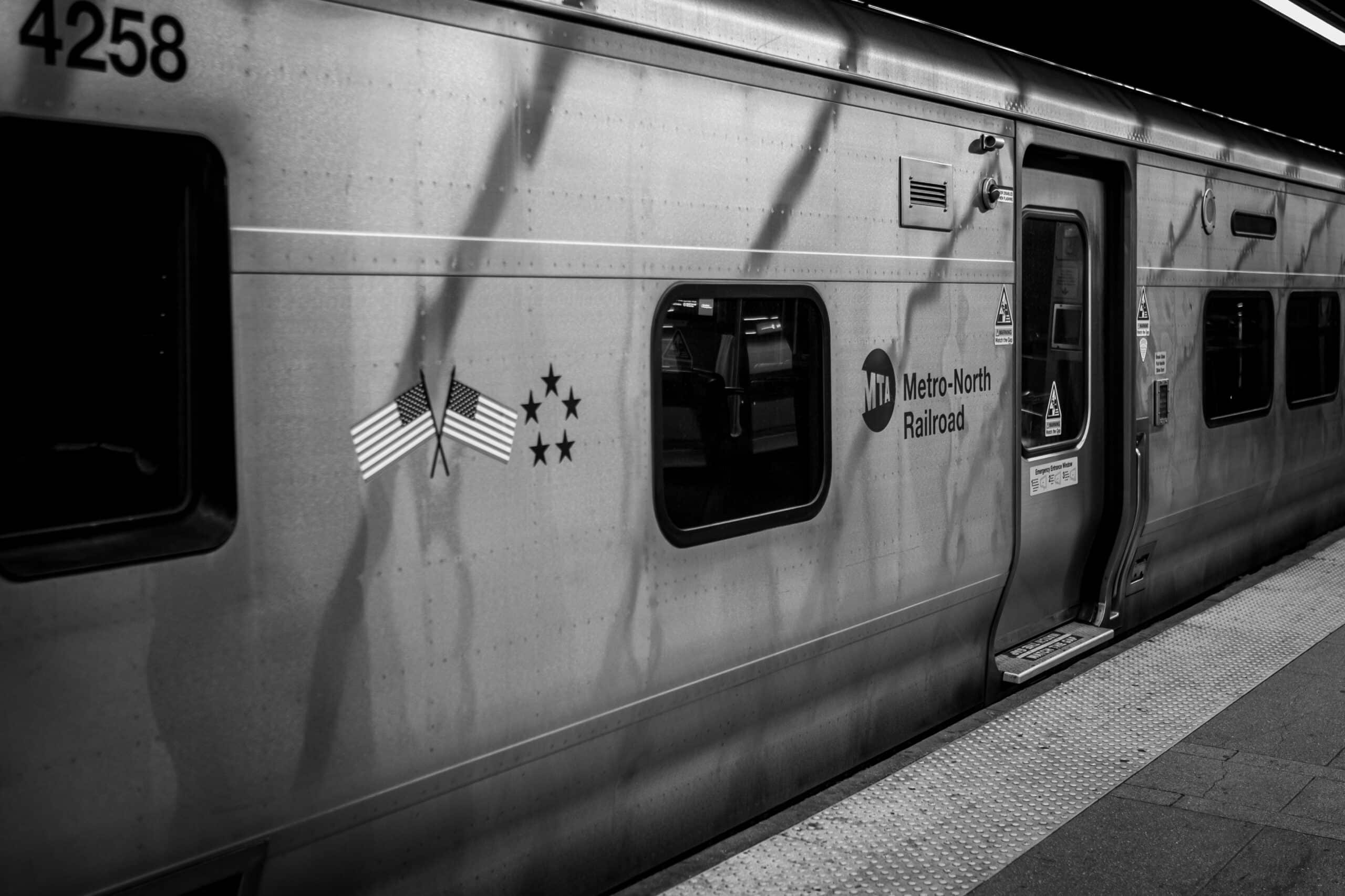 image for New York’s snapshot