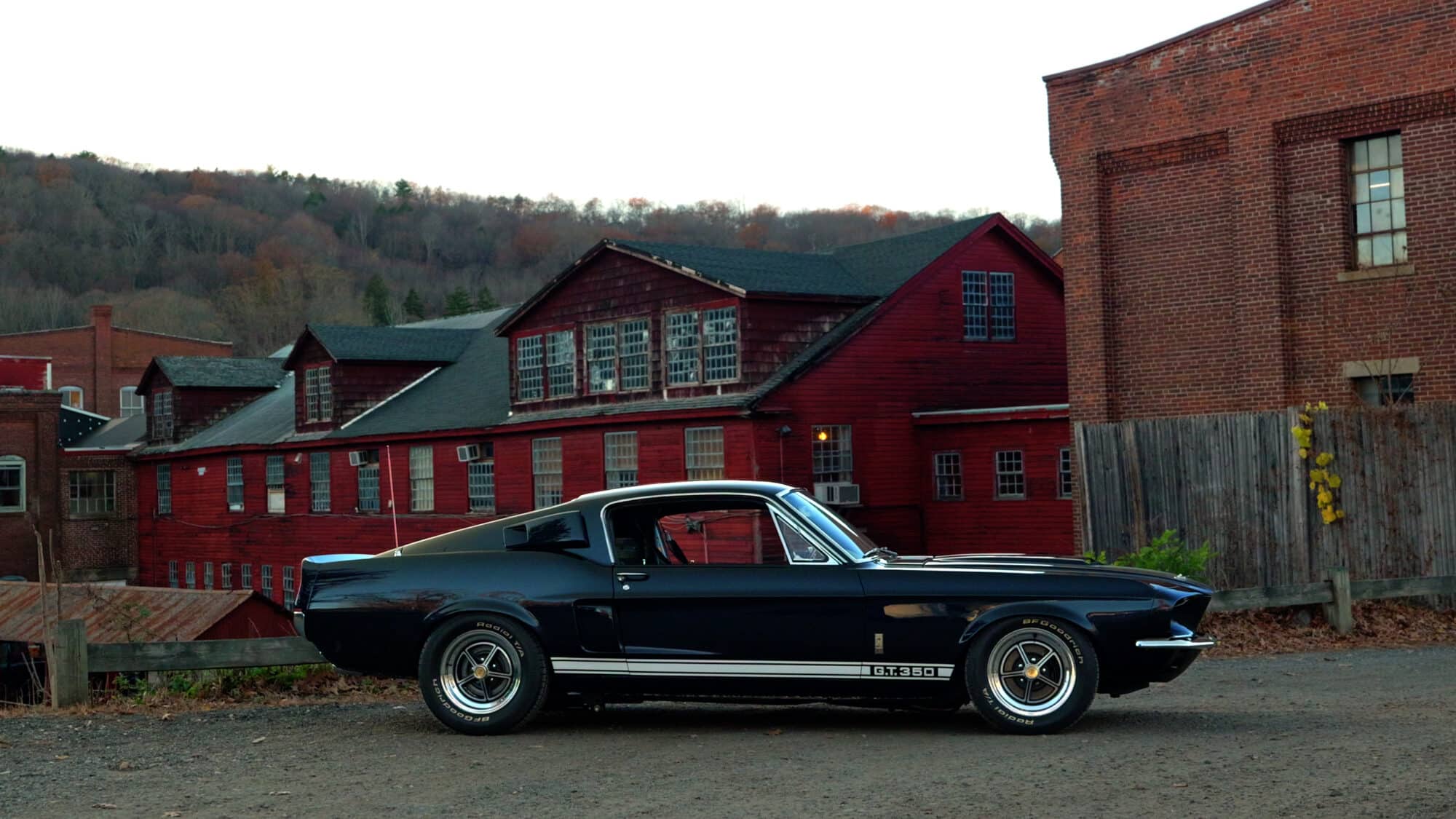 image for A Shelby GT350’s Revival