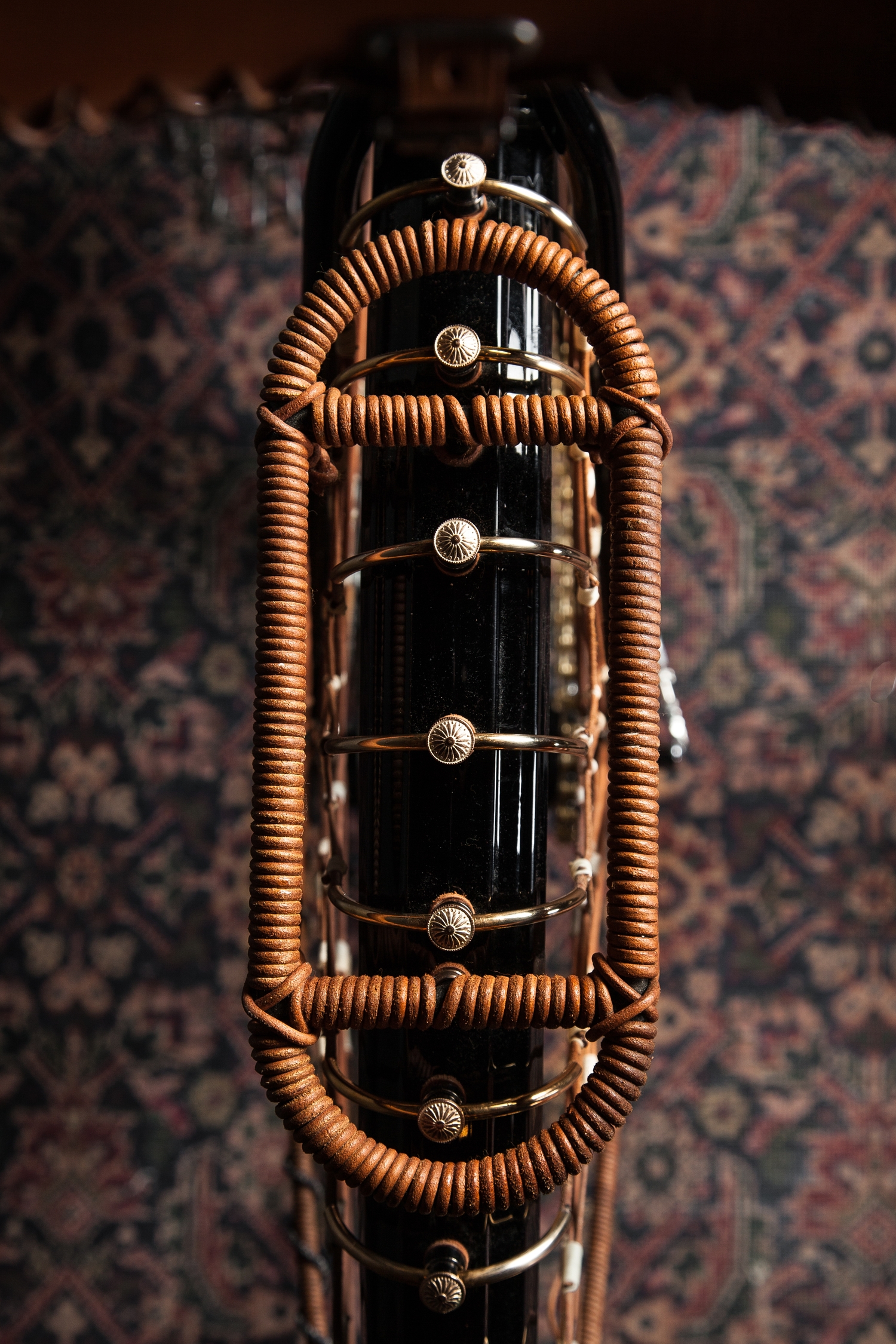 image for The Ralph Lauren bicycle