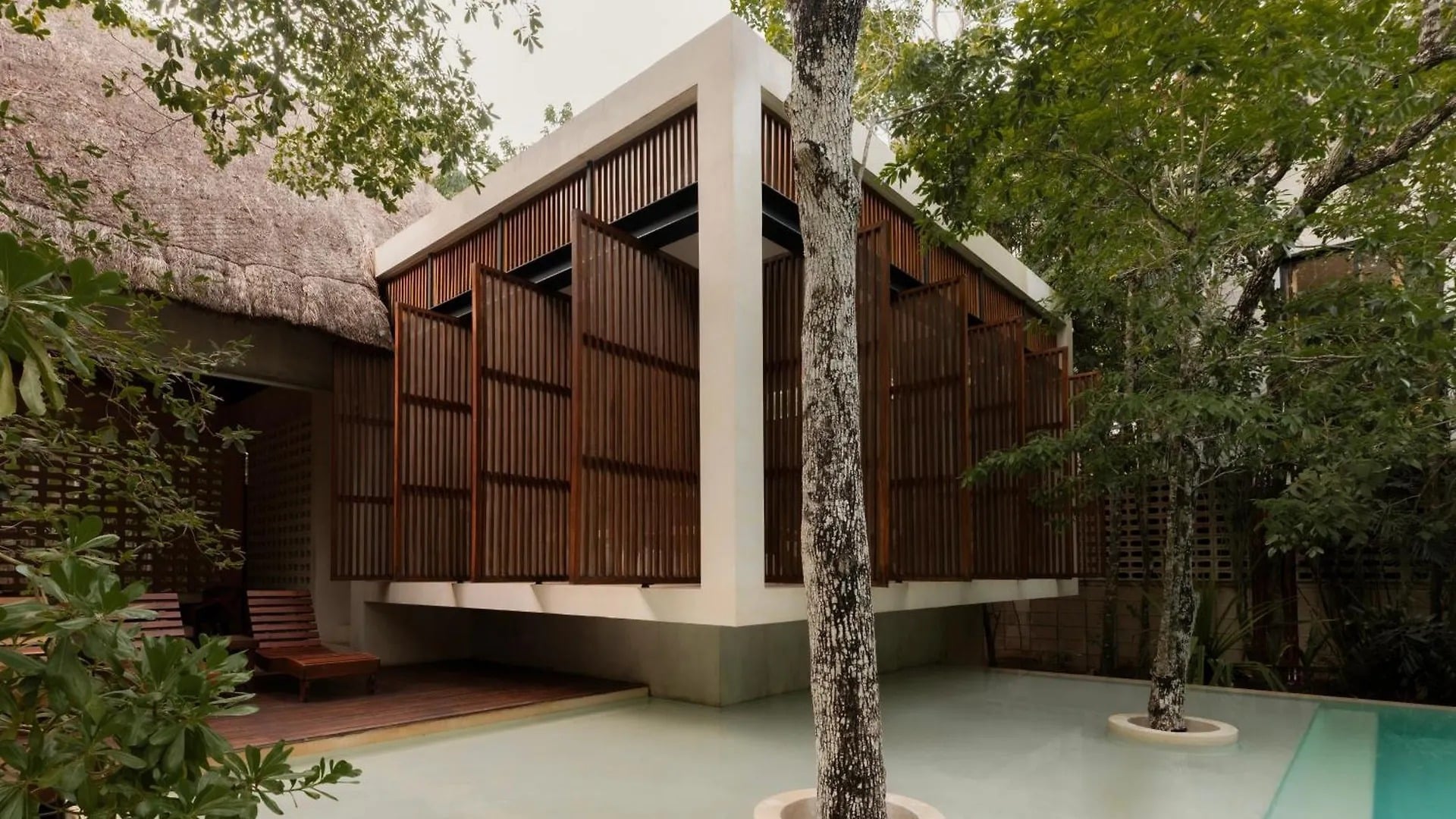 image for Jungle Keva Tulum