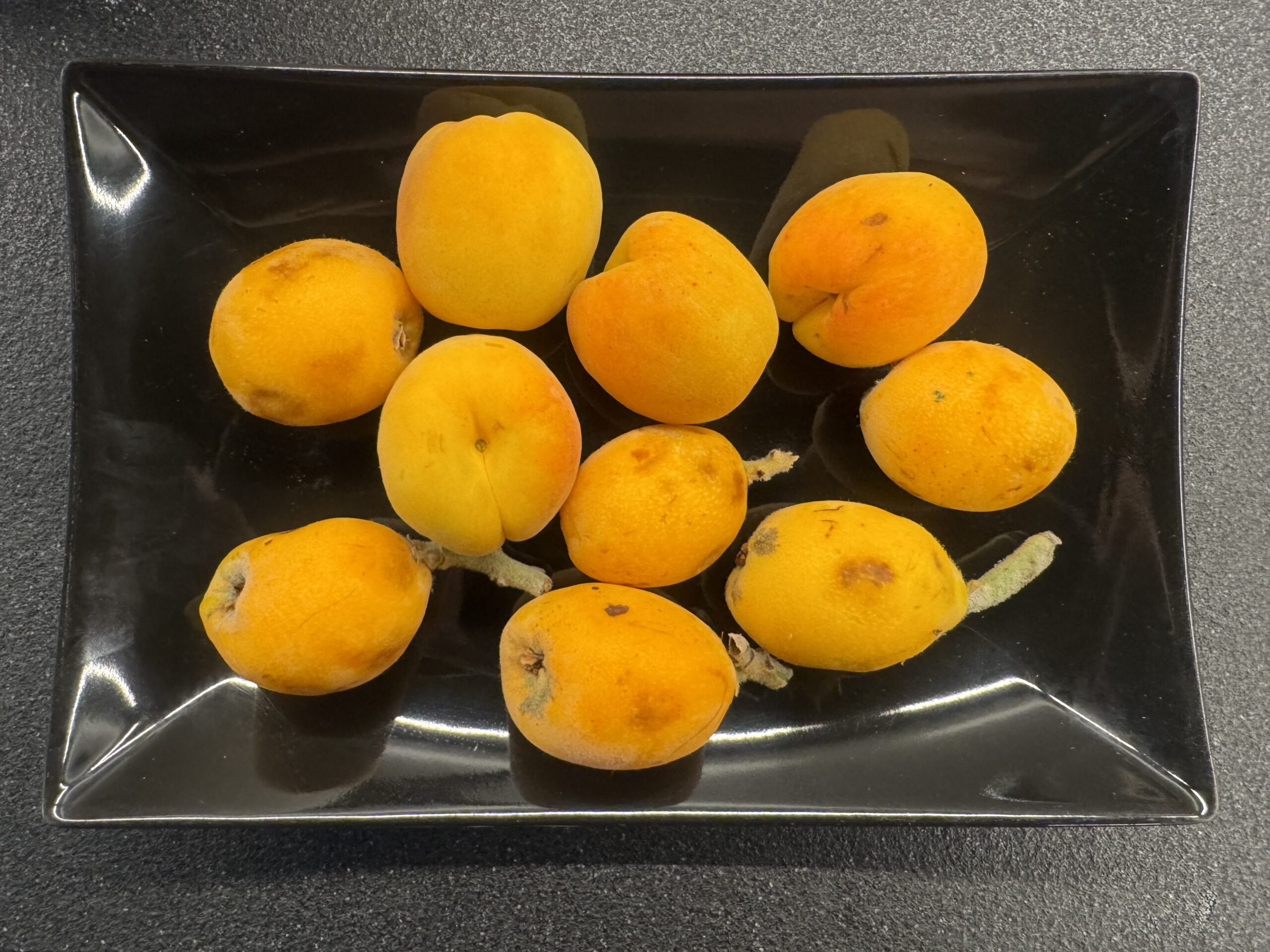 image for Home Garden Fruits
