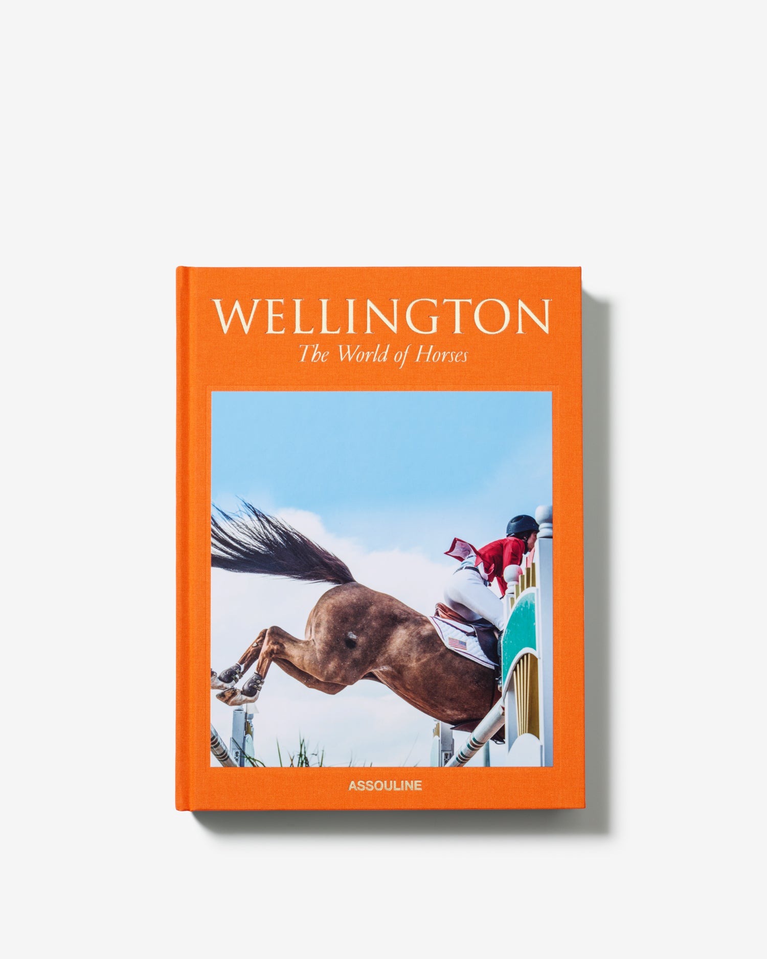 image for Wellington: The World of Horses