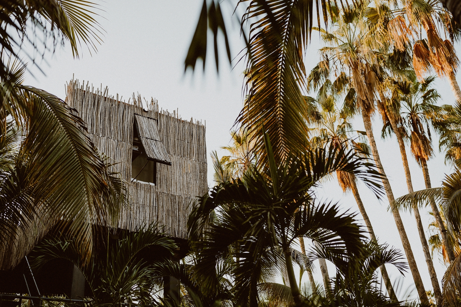 image for Jungle Luxury & Hidden Retreat