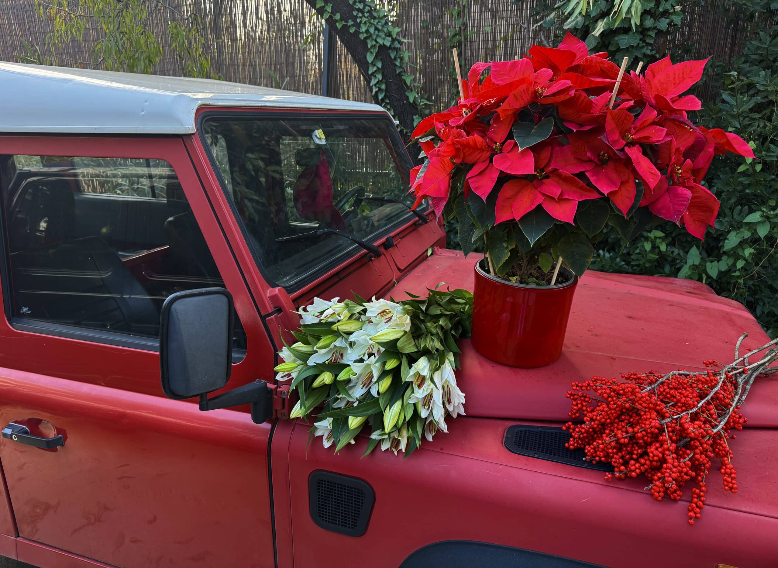 image for Christmas feeling