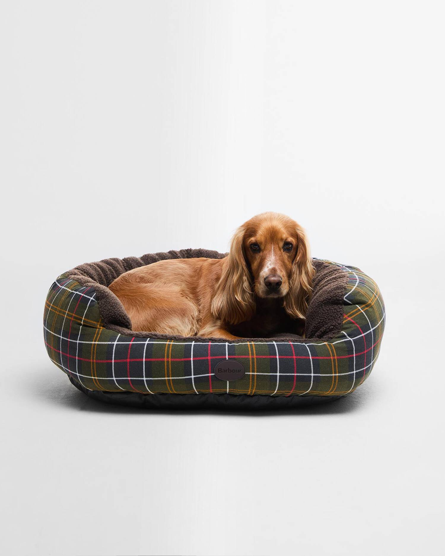 image for Country Charm for Your Pet