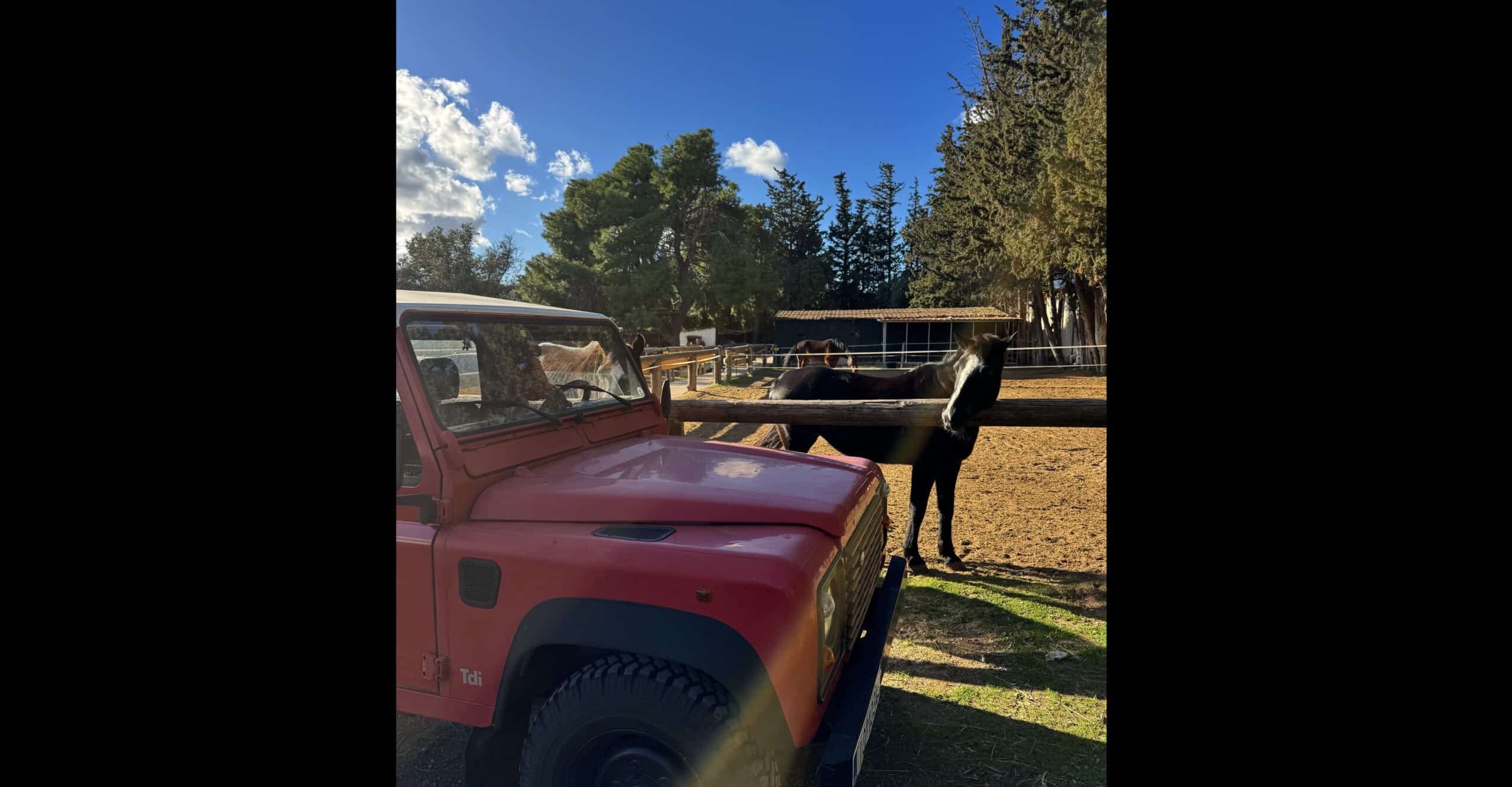 image for Riding