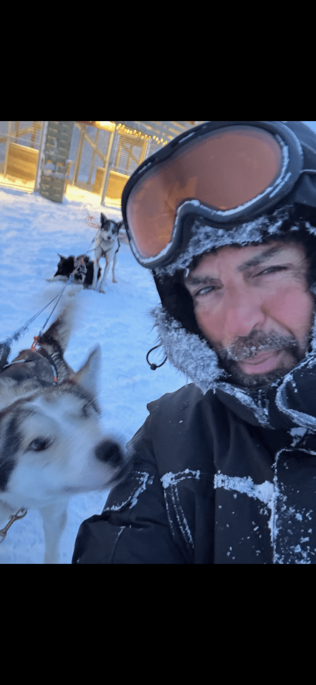 image for Arctic
