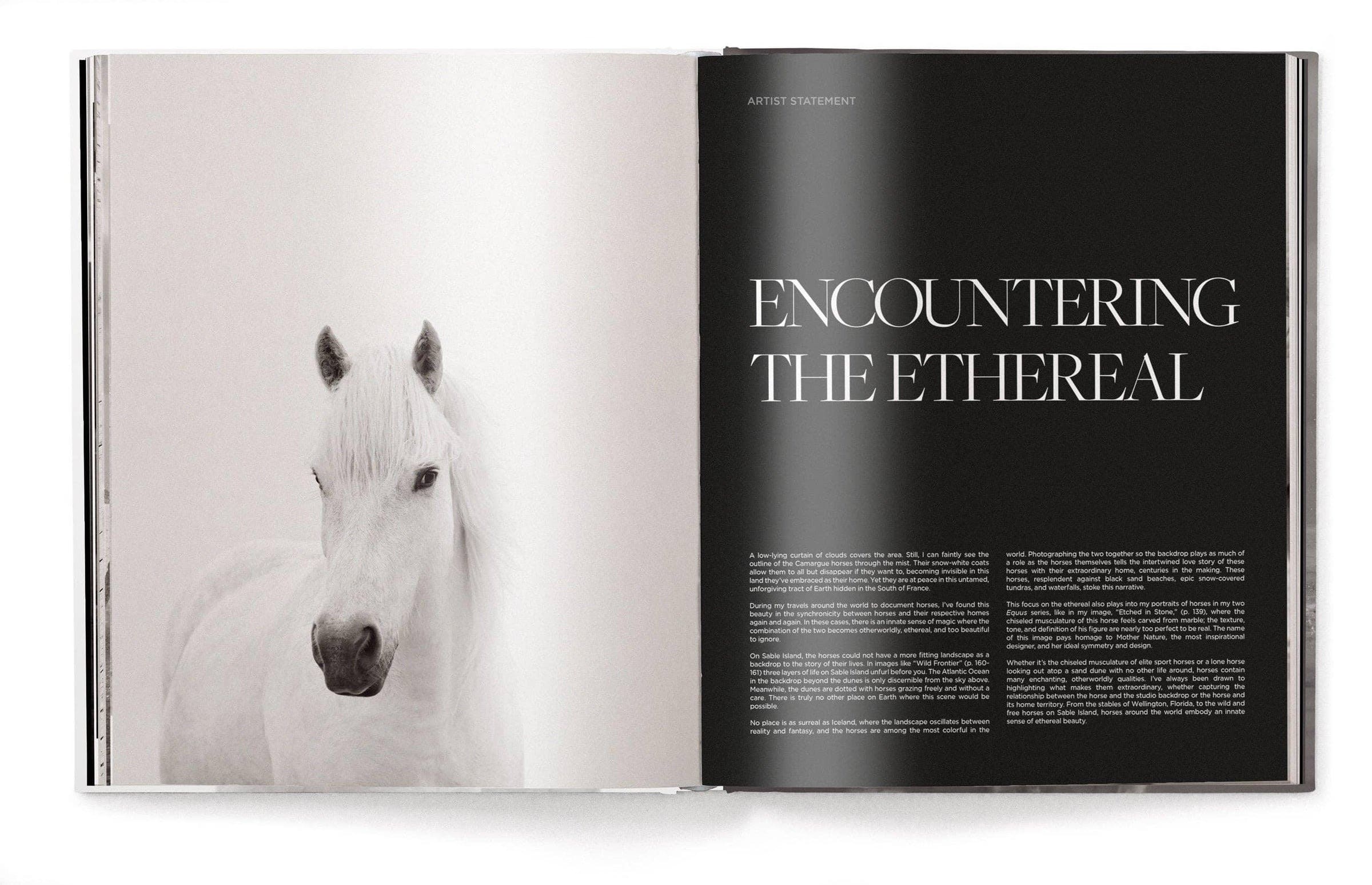image for A Visual Tribute to Equine Majesty