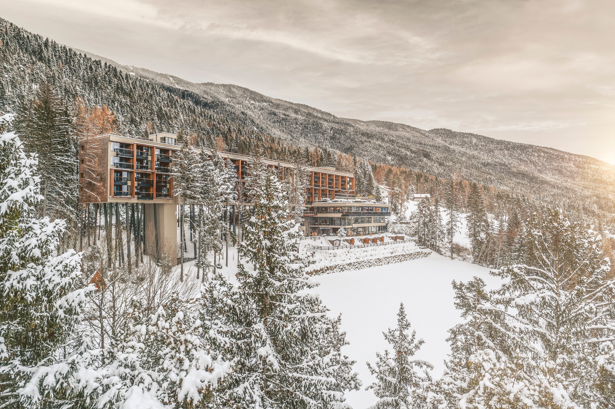 image for A Treetop Wellness Sanctuary in the Dolomites