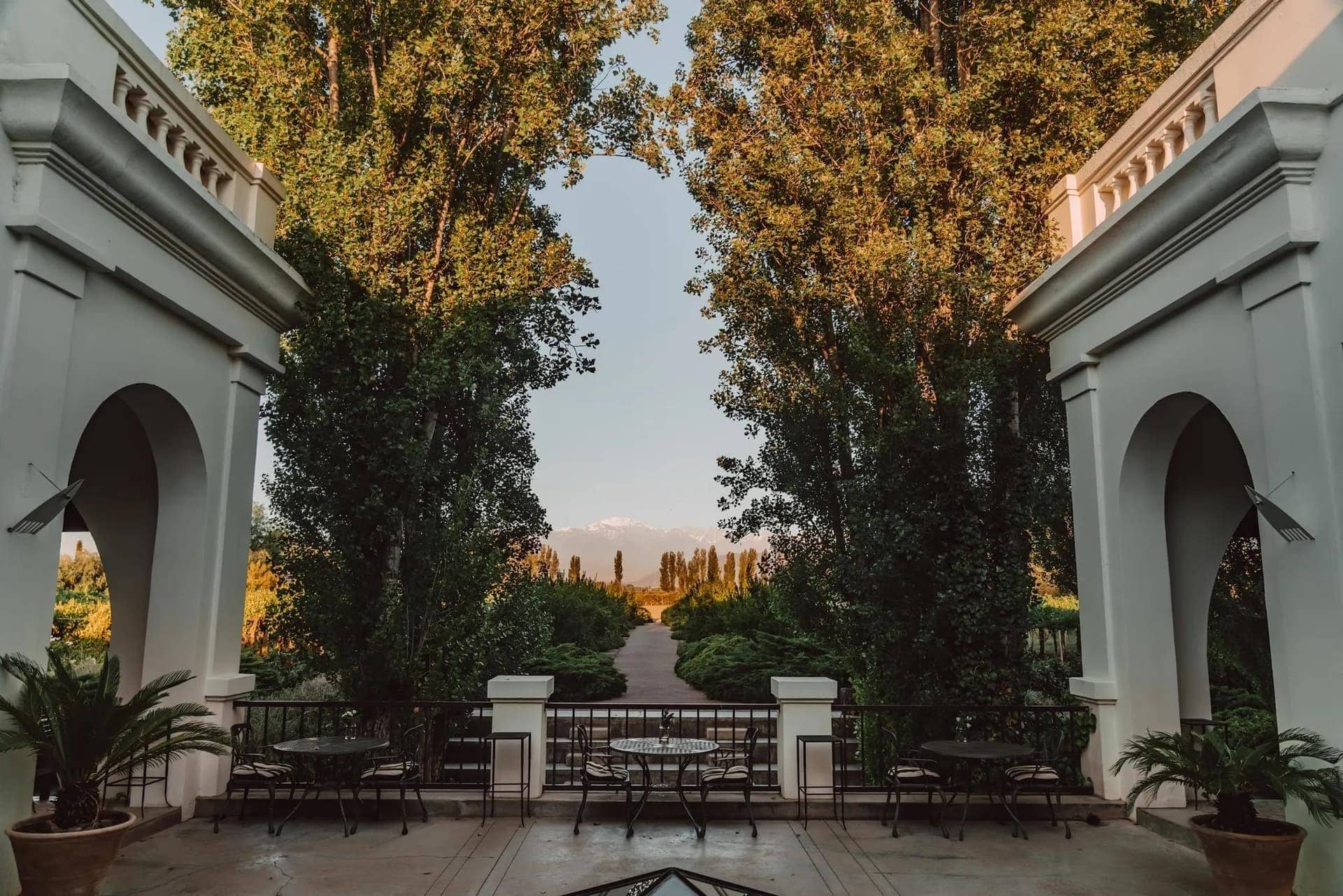 image for Vineyard Escape