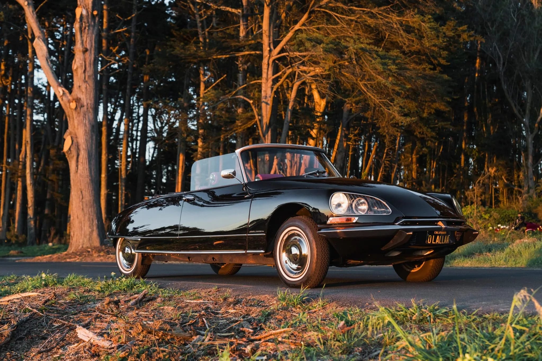image for The Return of a French Icon