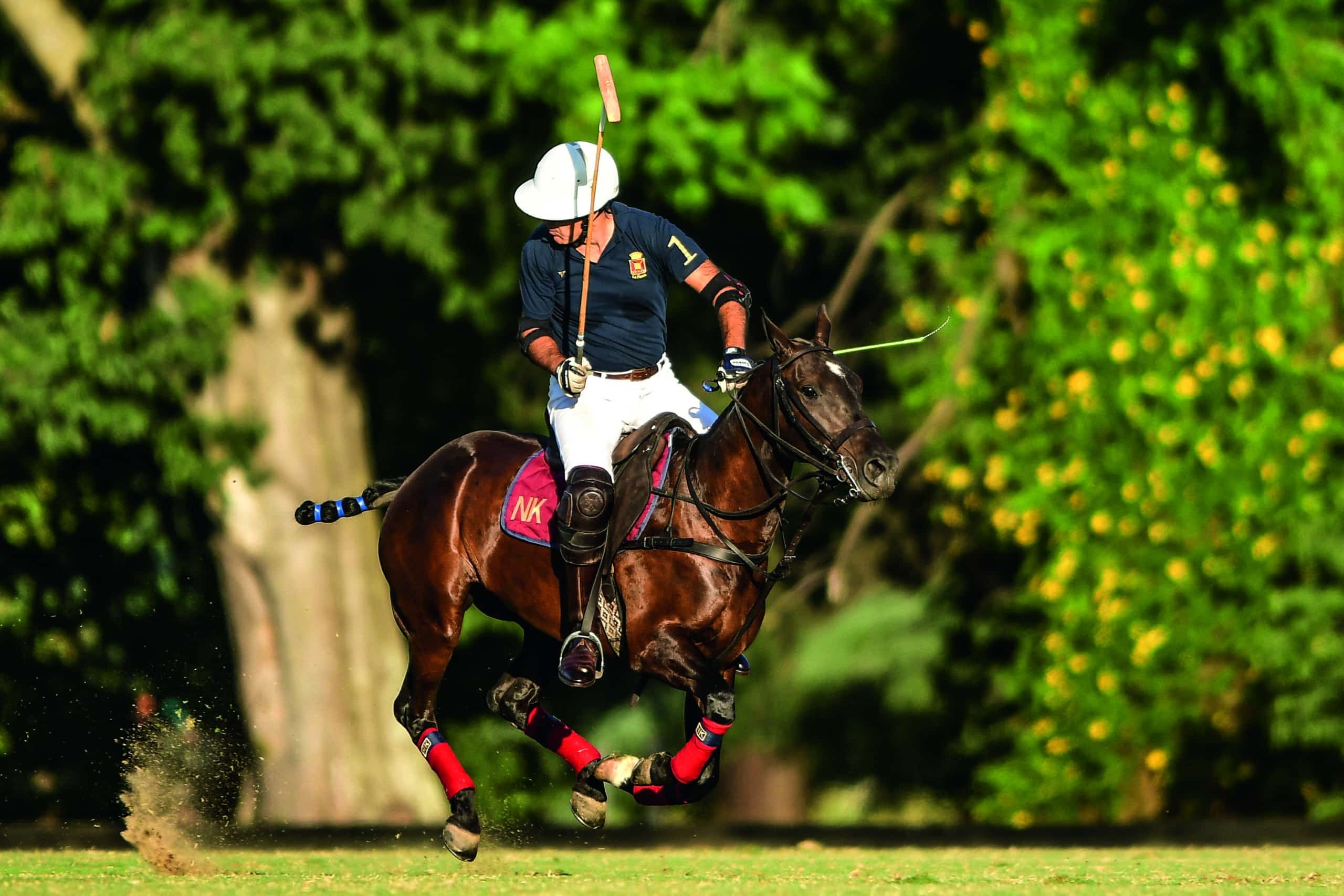 image for Polo: The Game of Kings – The King of Games