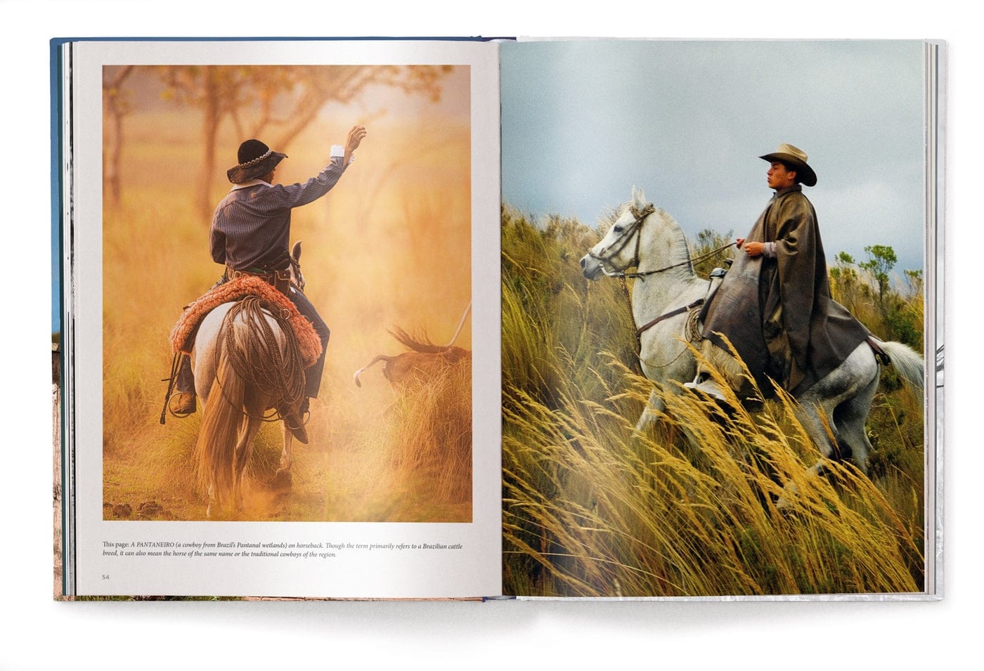 image for The Stylish Life: Cowboys