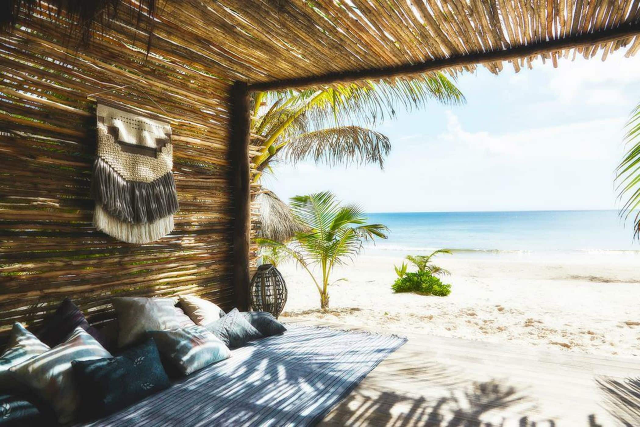 image for Wellness, Design and Caribbean Escape