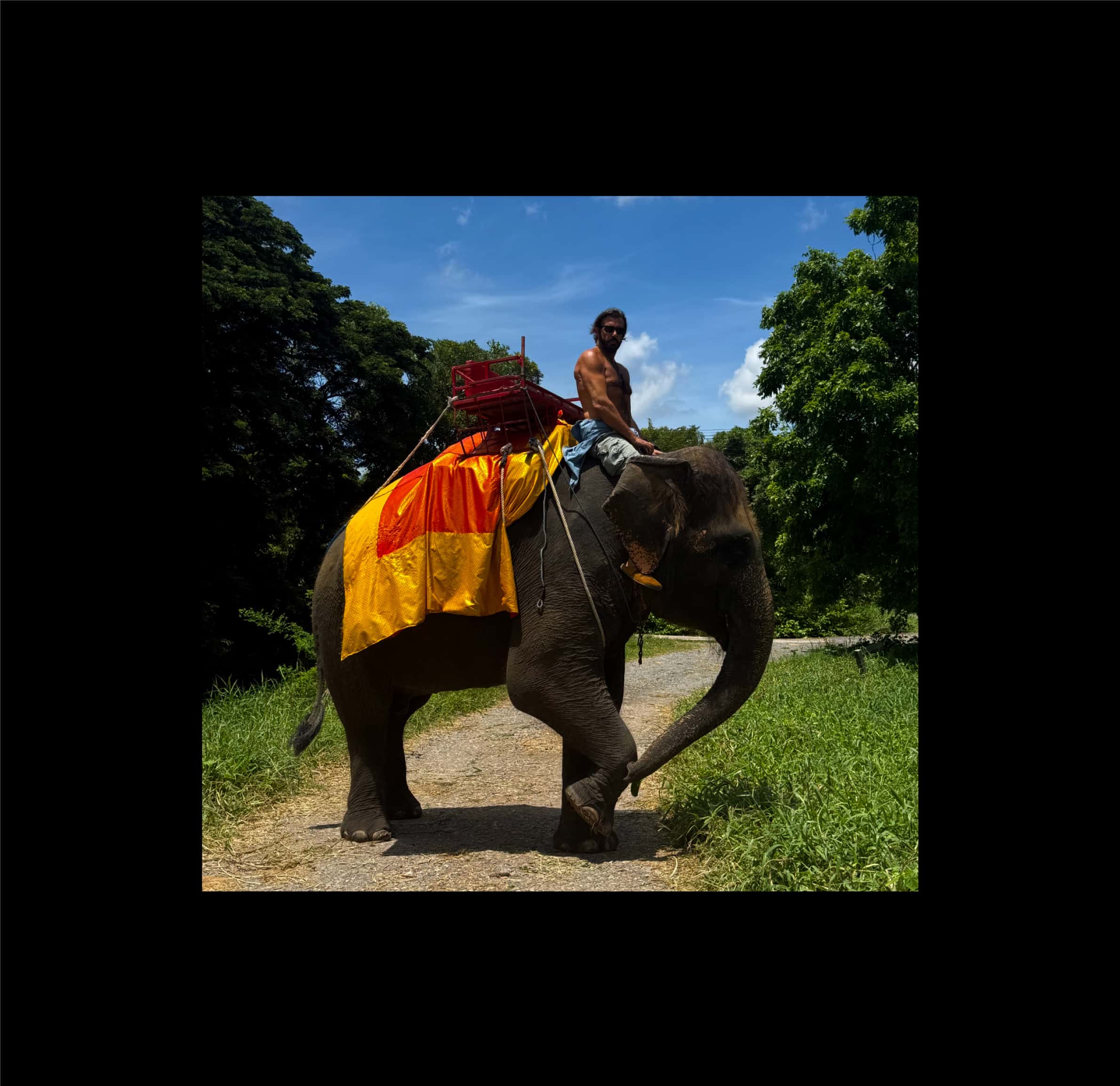 image for In nature you find yourself